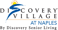DV-Naples_ByDSL-Logo-regular
